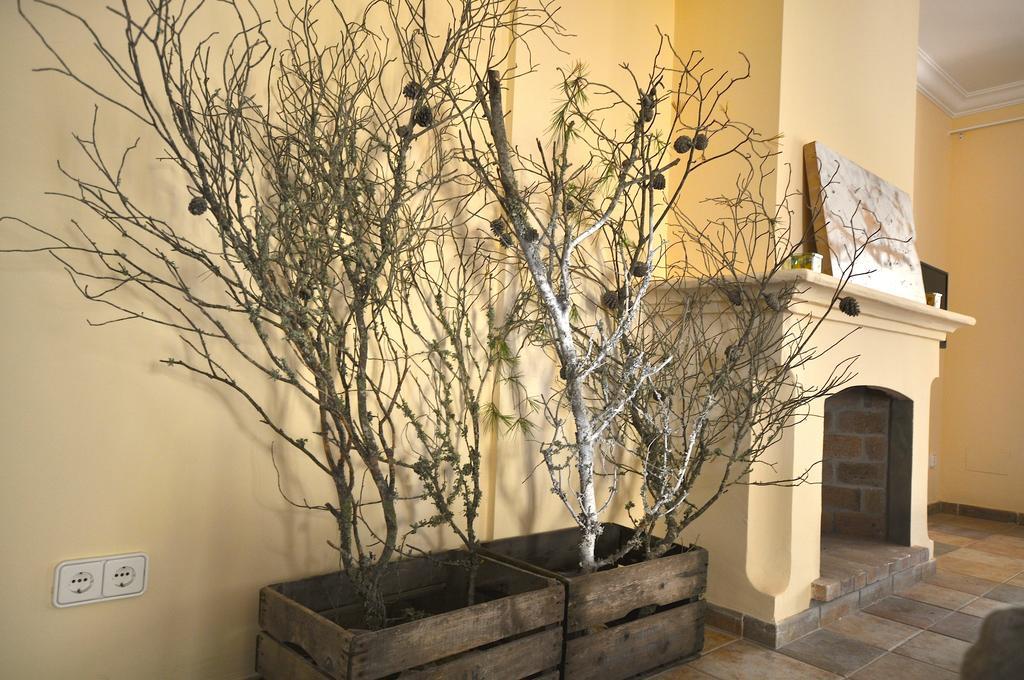 Houm Villa Cala Pi カラ・ピ 部屋 写真